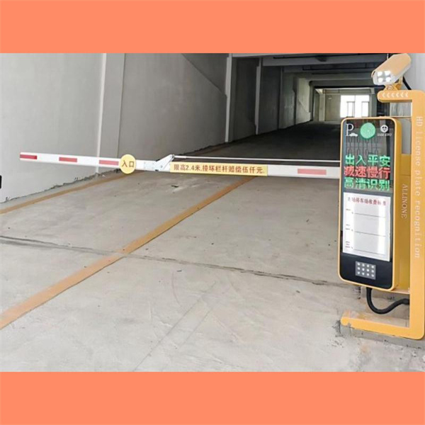 Hver er hlutverk skiltalásaraðila í að koma í veg fyrir glæpi