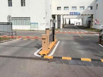 Parking Management for Airport Parking Lots