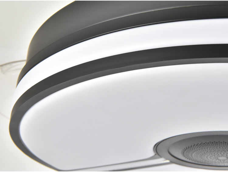 Ceiling Fan with Light Fixtures for Bedroom with Remote Quiet Silence Modern Ceiling Uk Led Fan and Light with Speaker manufacture