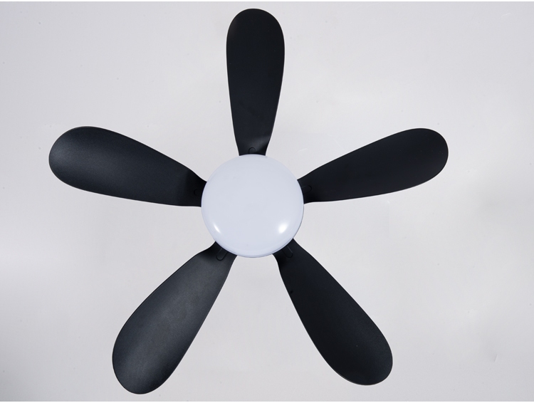 Fan Light E27 Bulb Screw Inwith Control Ceiling Fan with Light in Bulb Holder Replacement Living Room Fan Light Bulb with Remote manufacture