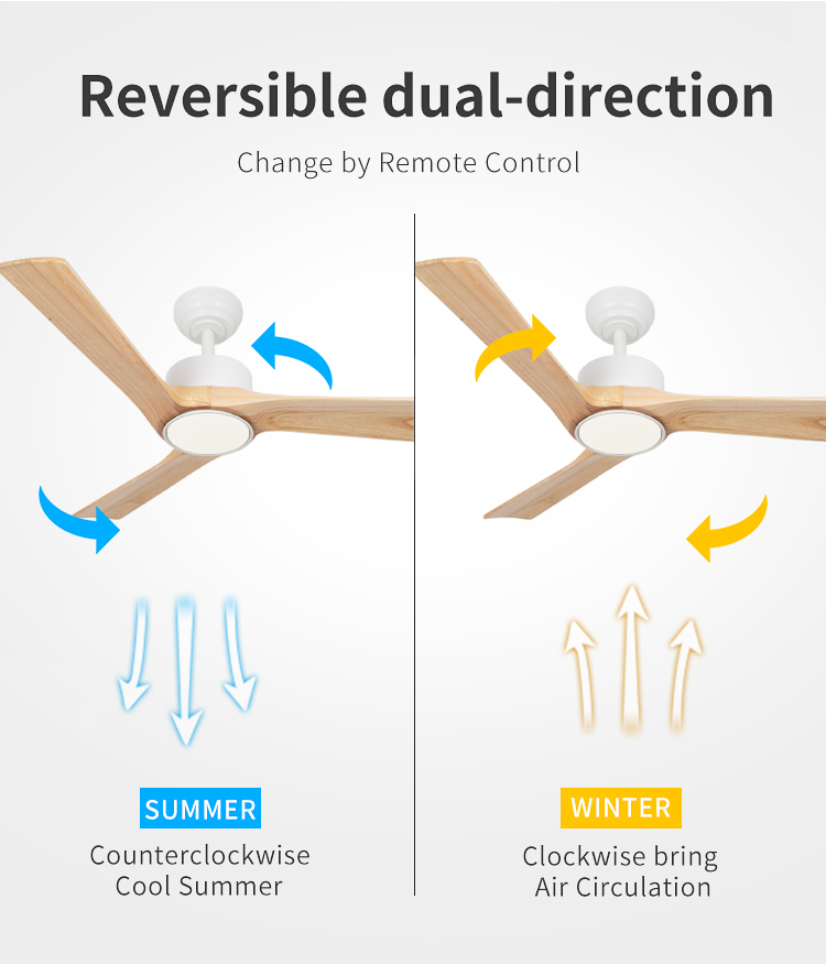Modern Ceiling Fan with Light Fixture Low Profile Ceiling Fans with Light and Remote Control Ceiling Fan with Light for Bedroom supplier