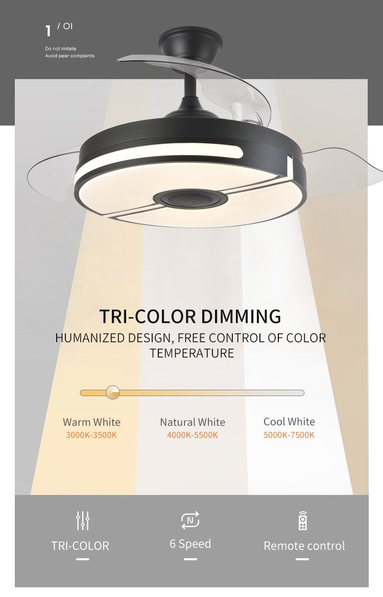 Ceiling Fan with Light Fixtures for Bedroom with Remote Quiet Silence Modern Ceiling Uk Led Fan and Light with Speaker factory