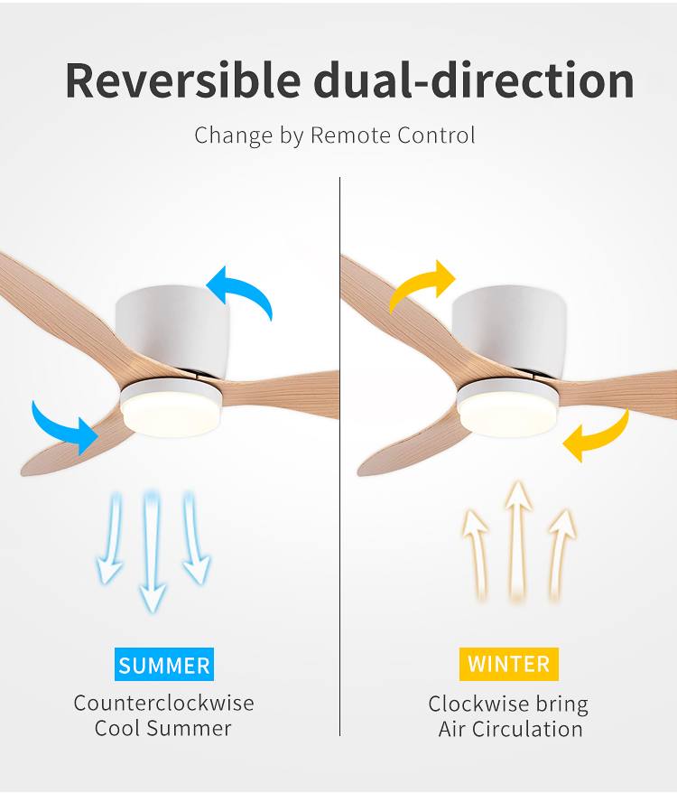 Contemporary Ceiling Fan with Light Modern Trending Modern Ceiling Light with Fan Ceiling Fan with Light and Remote supplier