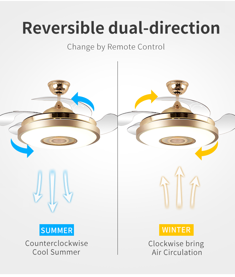 Beautiful Gold Modern Remote Control Fan Lamp Ceiling Mounted Interior Fan Lamp Ceiling Fan with Light for Island Bedroom details