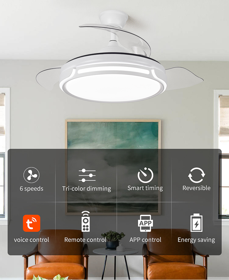 Y066 Modern 42 Inch LED Ceiling Fans Remote Control 110/220v Designer Luz Ventilador Oculto for Bedroom DC details