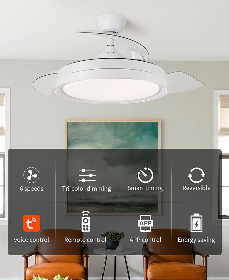 Hot Ceiling Fan with Light Fixtures for Bedroom with Remote Quiet Silence Modern Ceiling Fan with Light Uk Led Ceiling Fan Light details