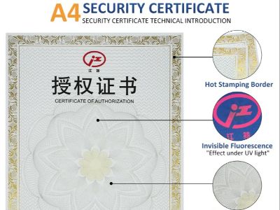 How Guilloche Patterns Enhance Document Security