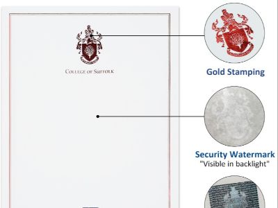 How Institutional Certificates Use Anti-Fraud Features