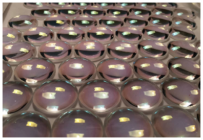 Laser Protective Window details