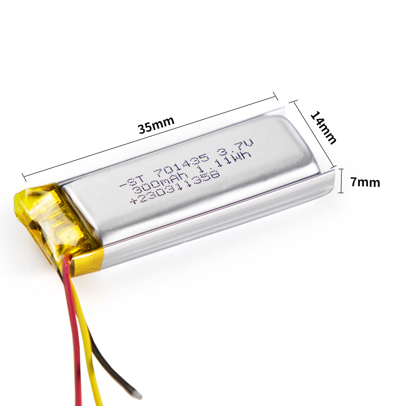 -Customizable Polymer Battery Options Available to Suit Your Specific Needs
