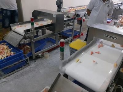 Conveyor Belt vs. Pipeline Food Metal Detectors: Which to Choose?
