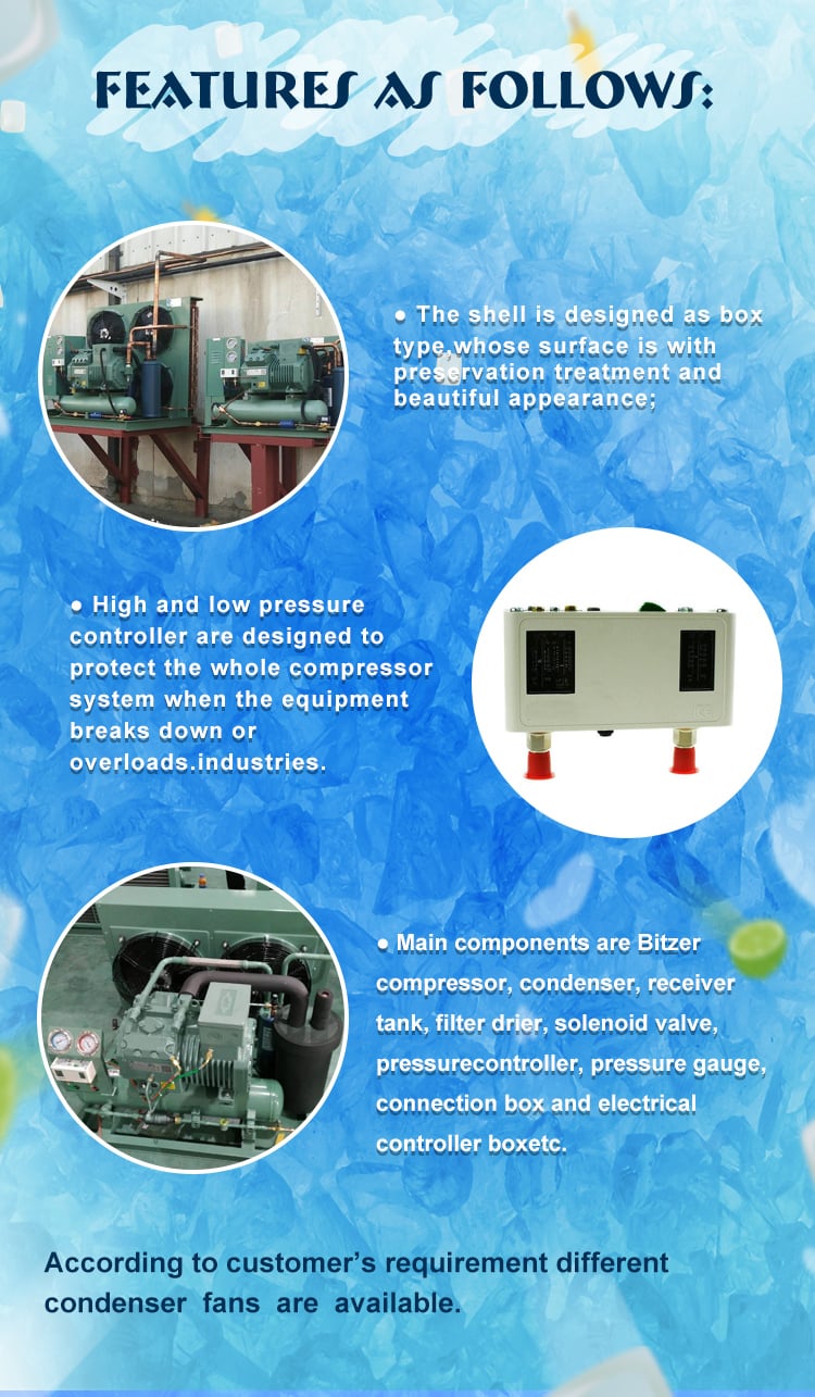 Open type Air Cooling Condensing Unit manufacture
