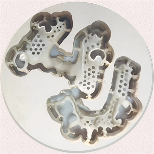 How to Overcome Common Issues with PEEK Dental Materials