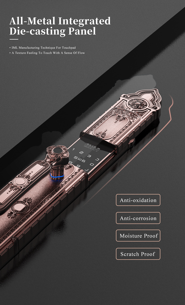 Tenon F8 Luxury Double Lock System Outdoor Keyless Digital Fingerprint Villa Door Lock manufacture