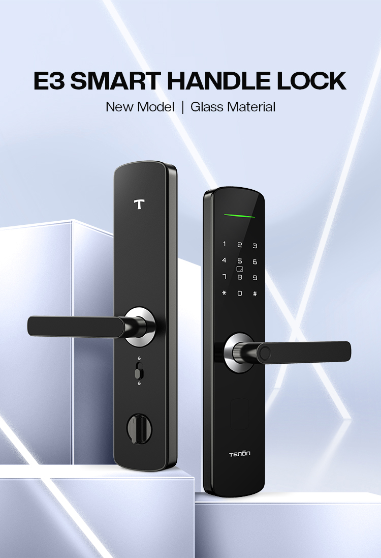 Tenon E3 Tuya App Smart Home Digital Rim Pin Card Operated Door Locks Security Wifi Intelligent Fingerprint Lock factory