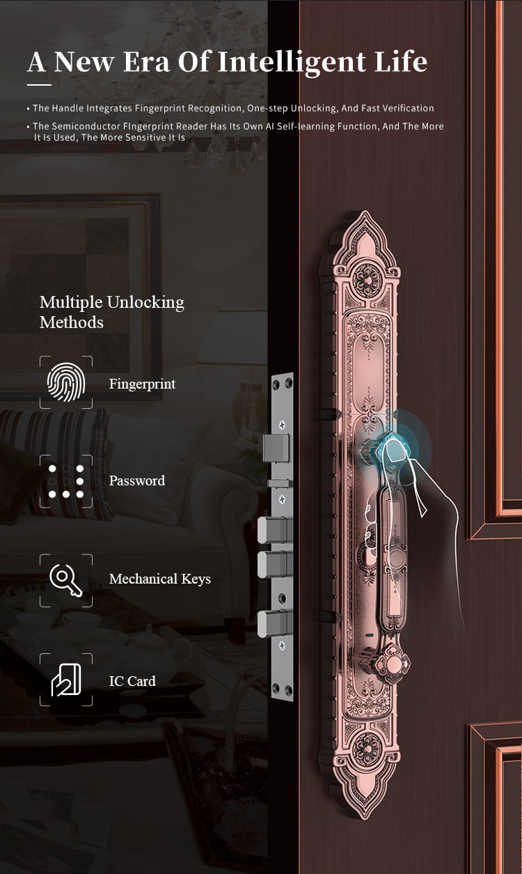 Tenon F8 Luxury Double Lock System Outdoor Keyless Digital Fingerprint Villa Door Lock details