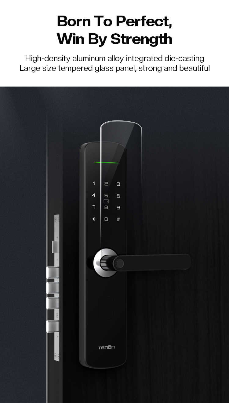Tenon E3 Tuya App Smart Home Digital Rim Pin Card Operated Door Locks Security Wifi Intelligent Fingerprint Lock manufacture