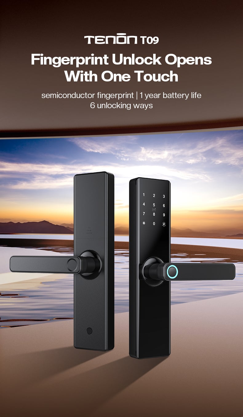 Tenon T09 Tuya Smart Digital Keyless Fingerprint Combination Handle Door Lock European Intelligent Electronic Locks With Pin details