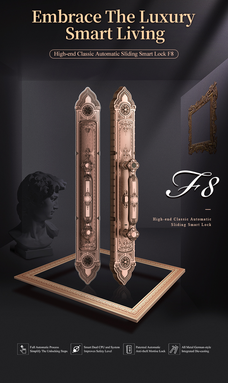Tenon F8 Luxury Double Lock System Outdoor Keyless Digital Fingerprint Villa Door Lock factory