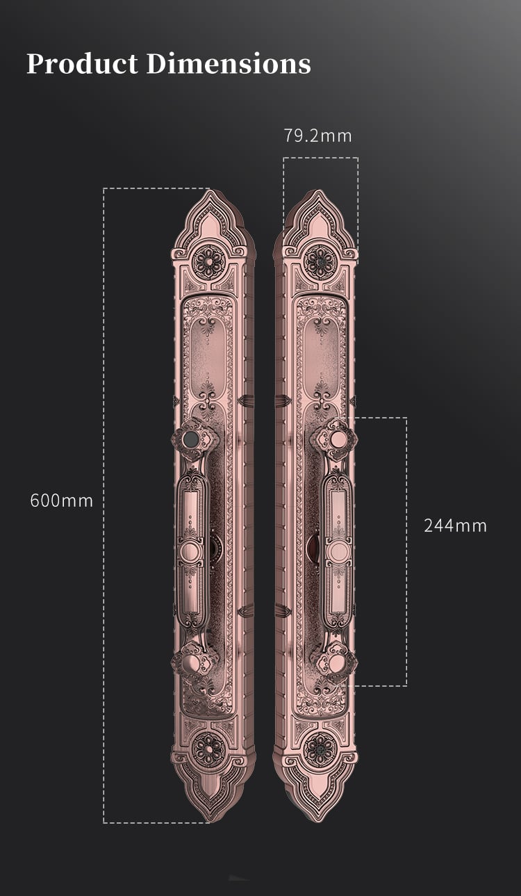 Tenon F8 Luxury Double Lock System Outdoor Keyless Digital Fingerprint Villa Door Lock manufacture
