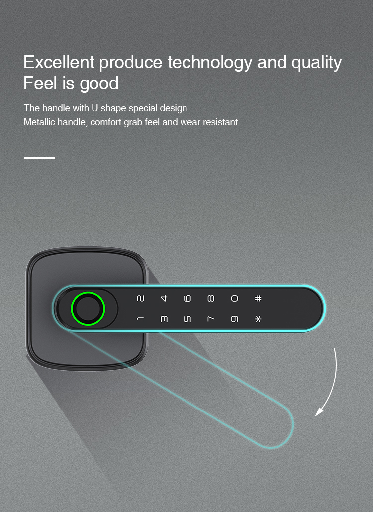 Tuya Smart Biometric Lock Single Deadbolt Aluminum Electric Door Handle with Fingerprint Recognition Waterproof Mini Smartlock details