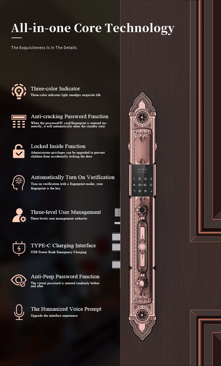 Tenon F8 Luxury Double Lock System Outdoor Keyless Digital Fingerprint Villa Door Lock details