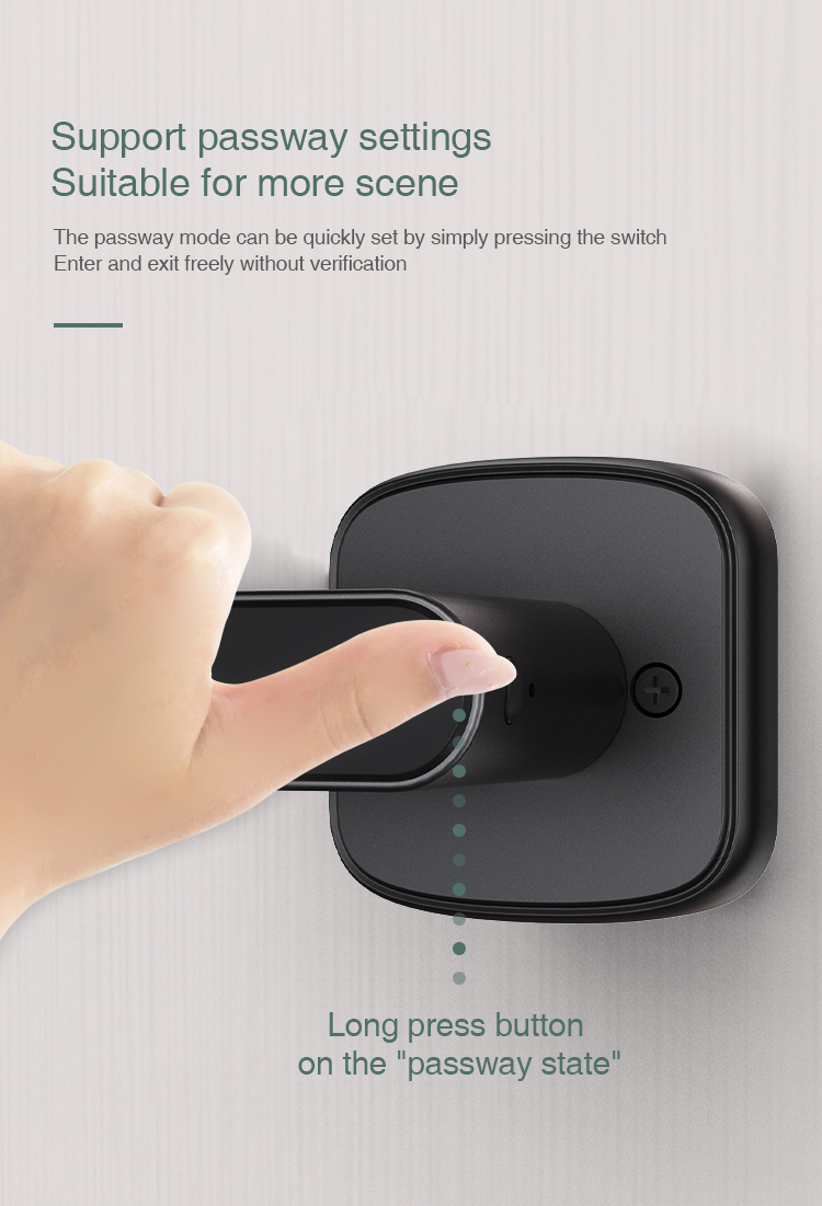 Tuya Smart Biometric Lock Single Deadbolt Aluminum Electric Door Handle with Fingerprint Recognition Waterproof Mini Smartlock details