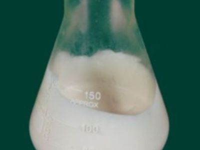 Relationship between the chemical structure and properties of Vinyl Ester Resin