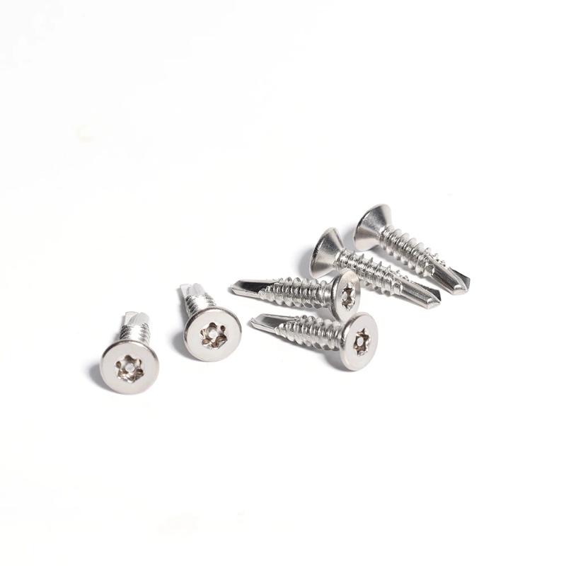 Factory Supply SS304 M4 M5 M6 Six Star Torx With Pin Security Self Drilling Screw