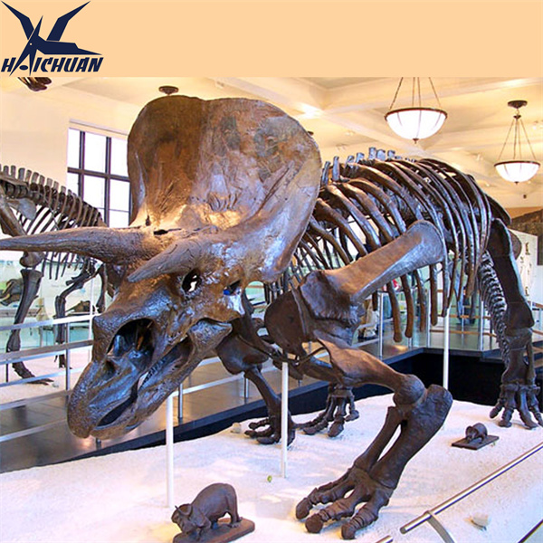 Realçı Triseratops skelet ekspozisiyaları ilə müştərilərinizi təsir altına alın