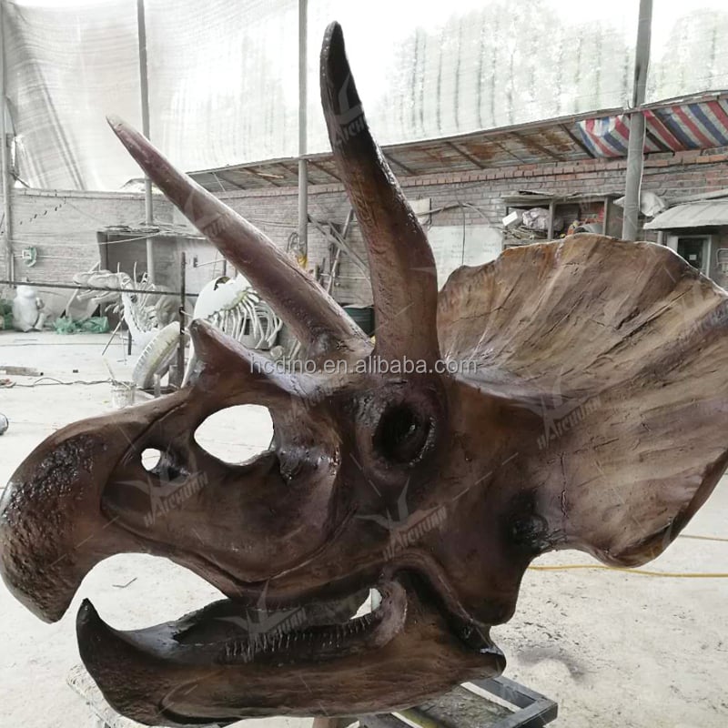 product life size dinosaur museum fossils display indoor fiberglass t rex triceratops head skeleton for adventure parks-1