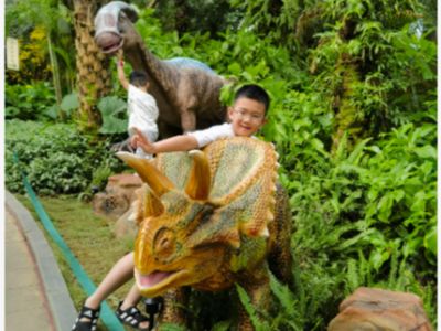 Hur realistiska dinosauriefigurer förbättrar utbildningsupplevelser?