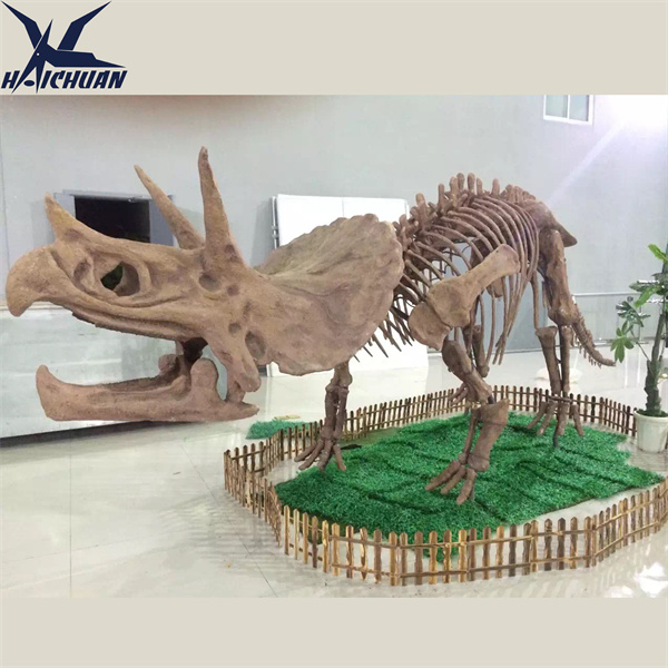 Premium Triseratops skeletlərimizlə rəqiblərinizdən fərqlənin