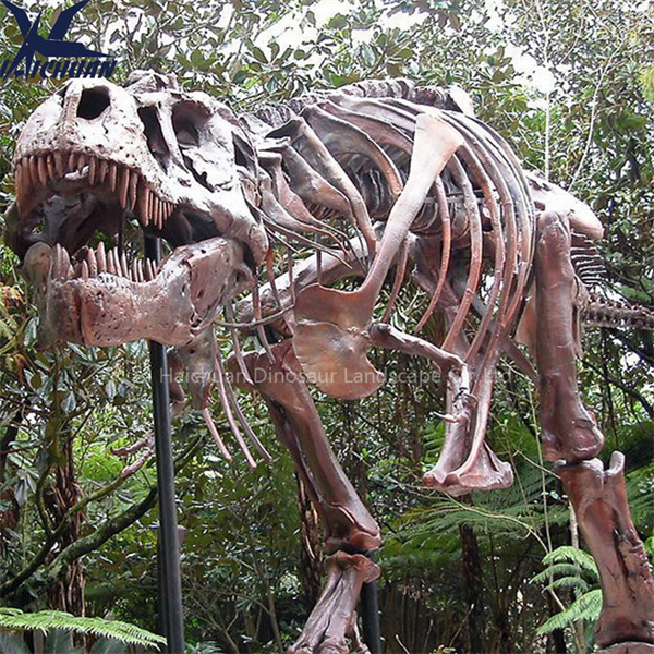 Makakuha ng de-kalidad at tunay na kumpletong balangkas ng dinosaur