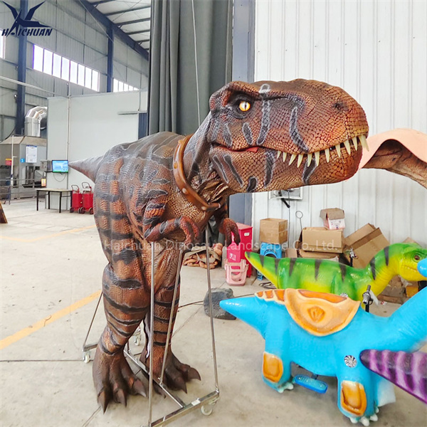 Các tùy chọn có thể tùy chỉnh sẵn sàng cho đơn hàng bán buôn