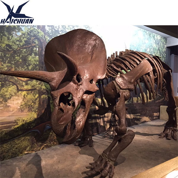Bütün Triseratops skelet ehtiyaclarınız üçün yüksək səviyyəli müştəri xidməti