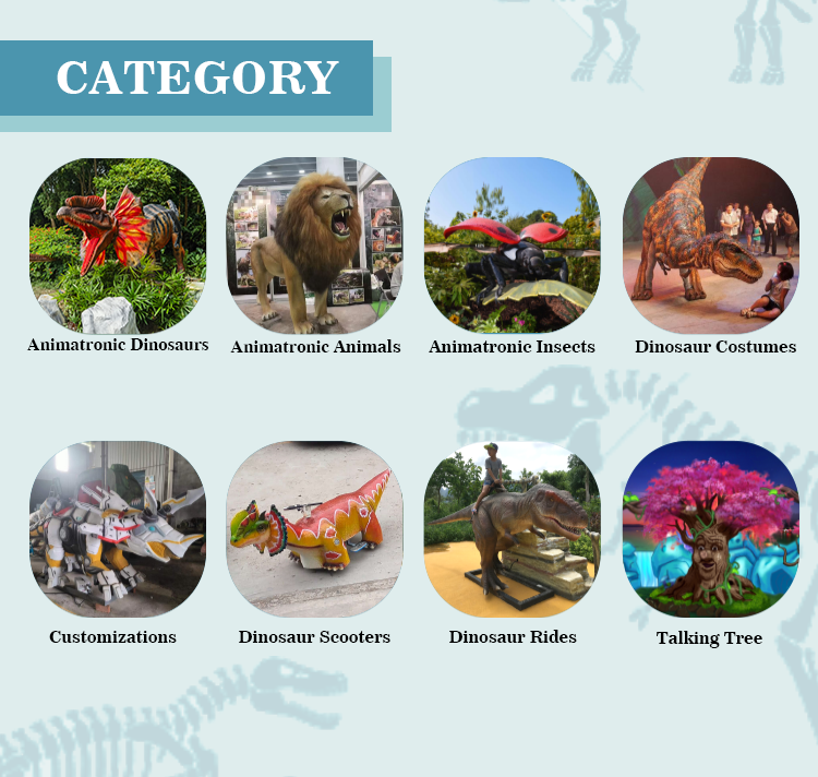 product life size dinosaur museum fossils display indoor fiberglass t rex triceratops head skeleton for adventure parks-6