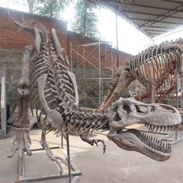 Rəqabətli Qiymətlərlə Dinazor Skeletlərinin Geniş Seçimi