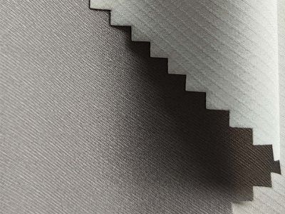 Case Study: How Bio-Based Nylon Improved Sustainability in the Fashion Industry