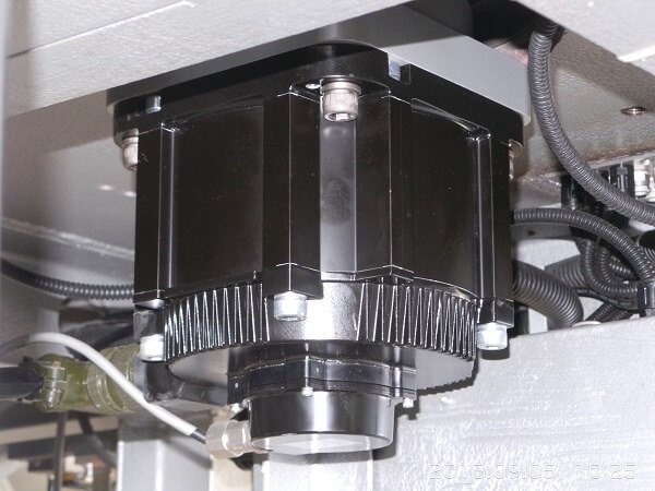 6 cavity 4.jpg
