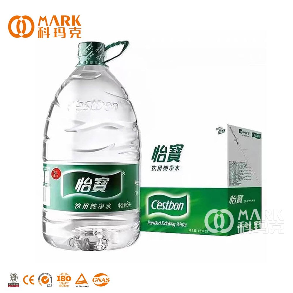 1,000BPH Automatic 3-10L Bottle Water Filling Making Machine