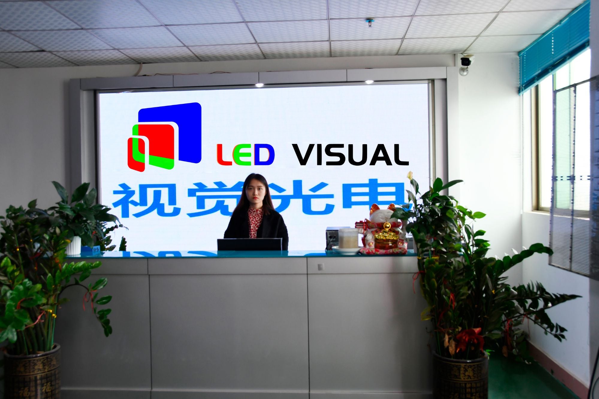 SHENZHEN LED VISUAL PHOTOELECTRIC Co.,LTD.