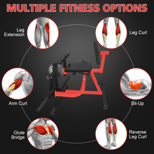 IUNNDS OEM Functional Seated Leg Extension & Curl Machine for Triceps Glutes & Biceps-Gym Fitness Strength Training factory