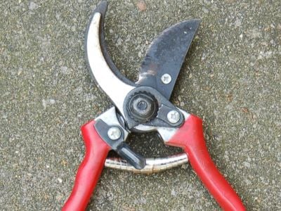 Ergonomic design standards for industrial garden pruning shears