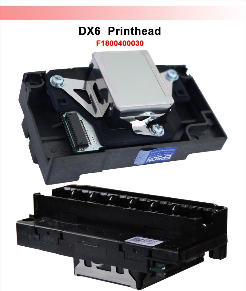DX6.jpg