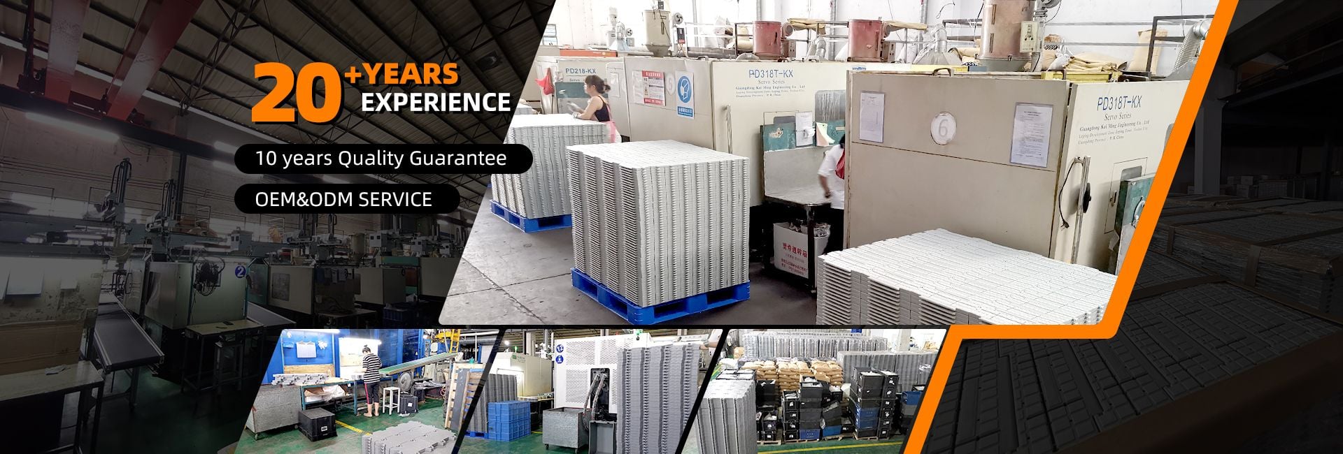 Guangdong Lokang Sports Technology Co., Ltd.