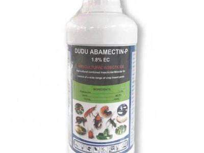 Ndiyewo Mabudyo neInsecticides uye Pesticides Inotienzaniswa MaGarden Yako