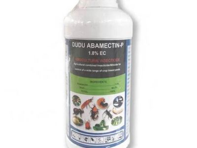 Pest Control Chemicals: What to Look for in a Supplier