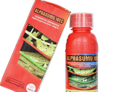 Cara Cypermethrin Mengendalikan Serangga Melalui Gangguan Saraf