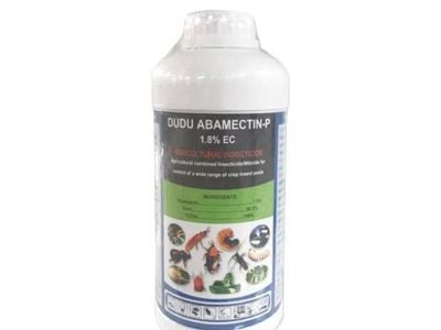 Comment choisir le bon insecticide pour votre maison et votre jardin